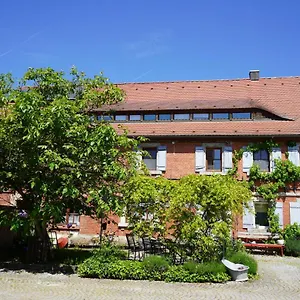 Schuh Ipsheim